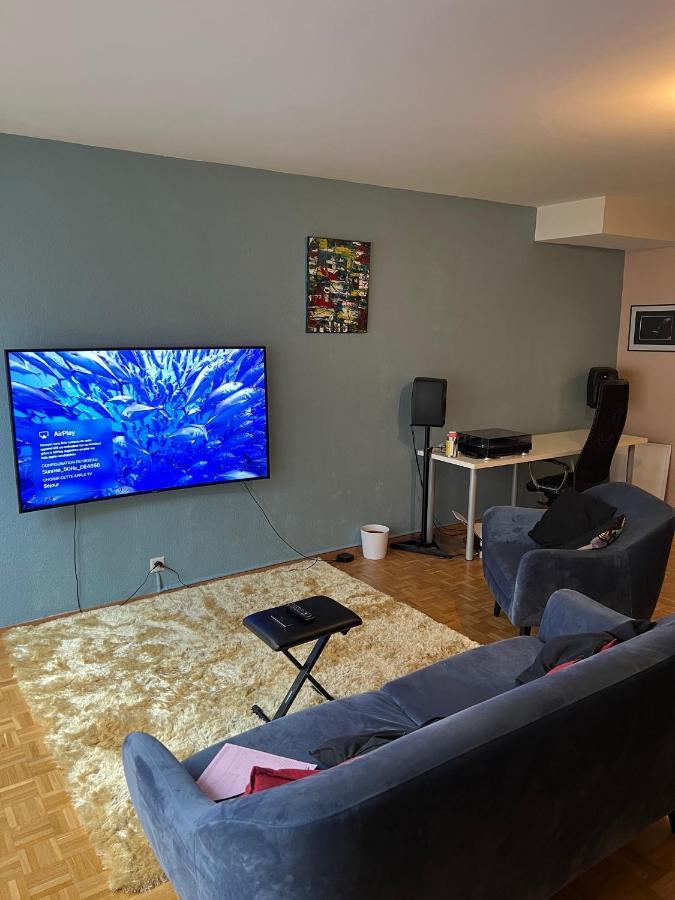 Beautiful Large Studio In Center Of Geneva Free Wifi Apartamento Exterior foto