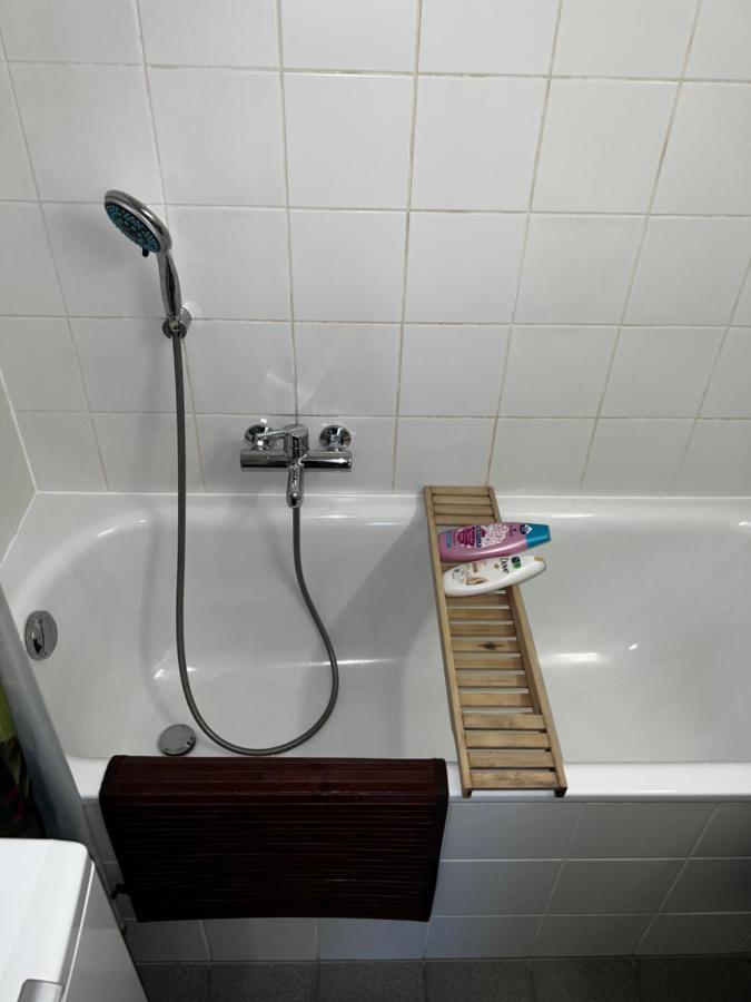 Beautiful Large Studio In Center Of Geneva Free Wifi Apartamento Exterior foto