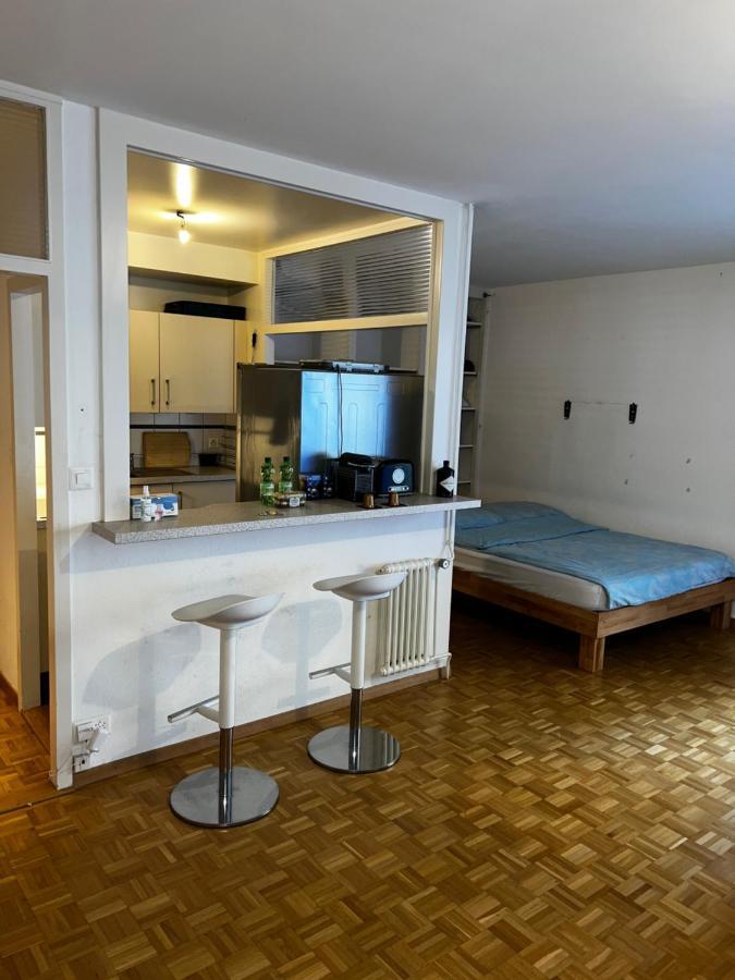 Beautiful Large Studio In Center Of Geneva Free Wifi Apartamento Exterior foto
